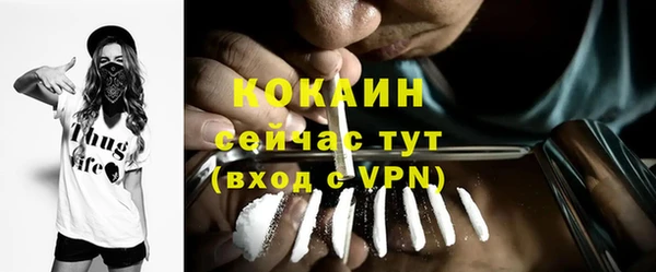 молекула духа Богородск