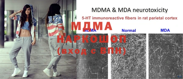 молекула духа Богородск