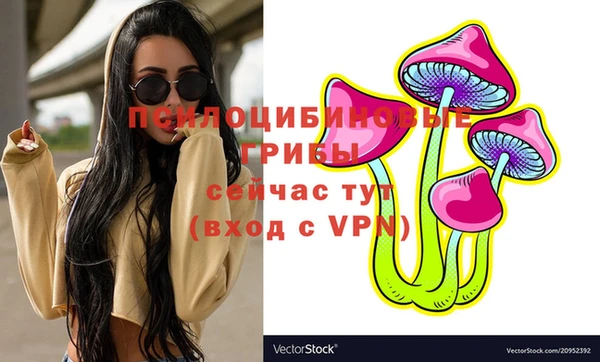 герыч Богородицк