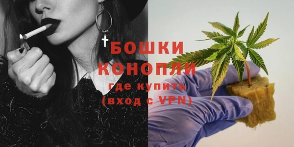 молекула духа Богородск