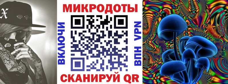 купить   Буинск  Галлюциногенные грибы Psilocybine cubensis 